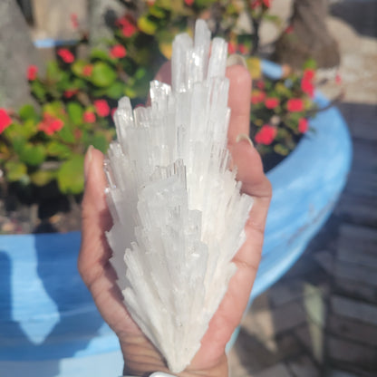 Scolecite