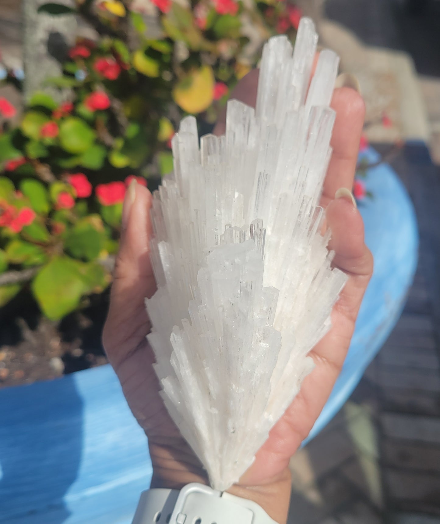 Scolecite