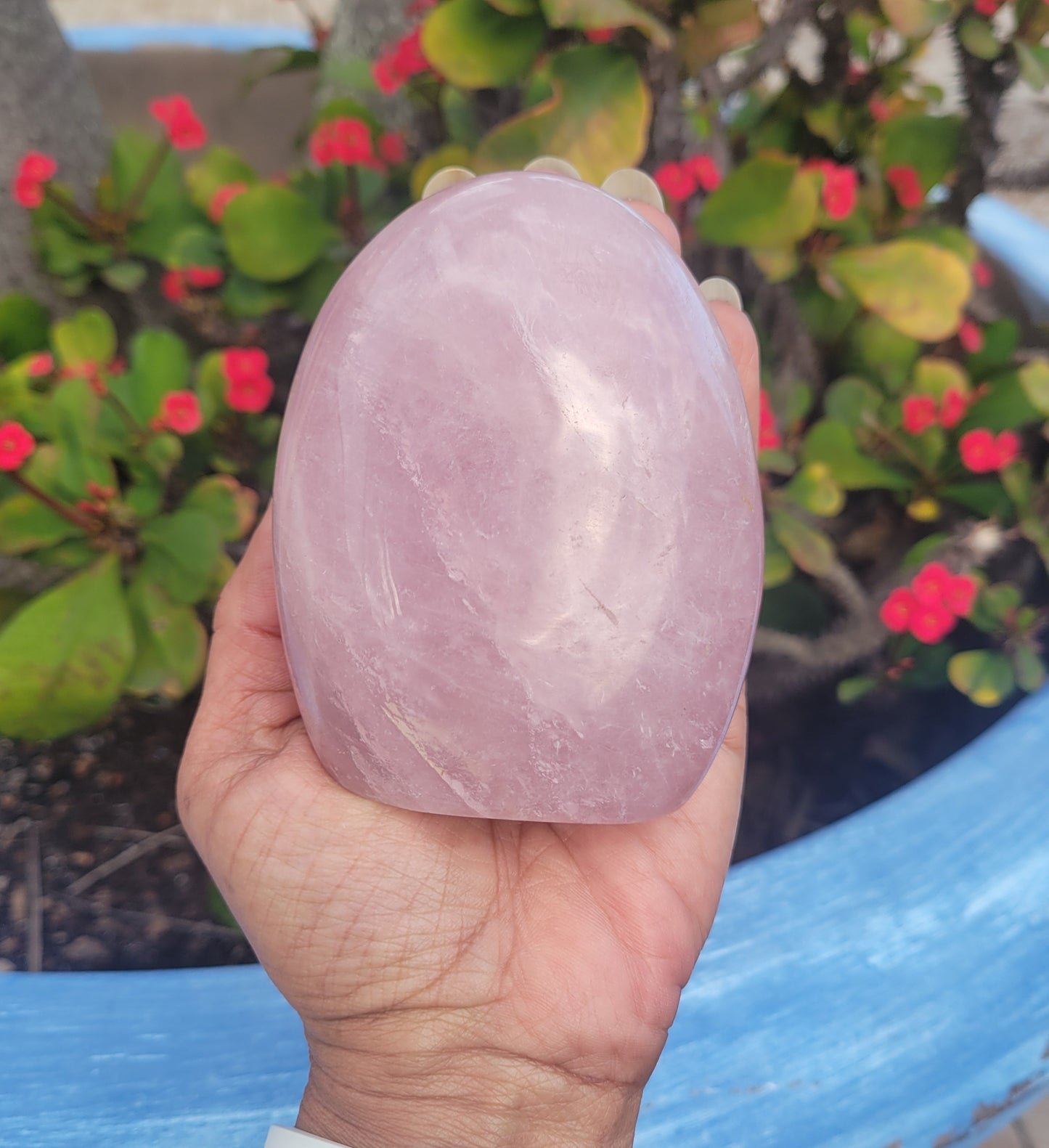 Rose Quartz Free Form