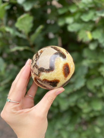 Septarian Sphere