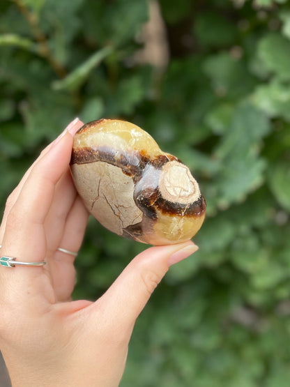 Septarian Heart