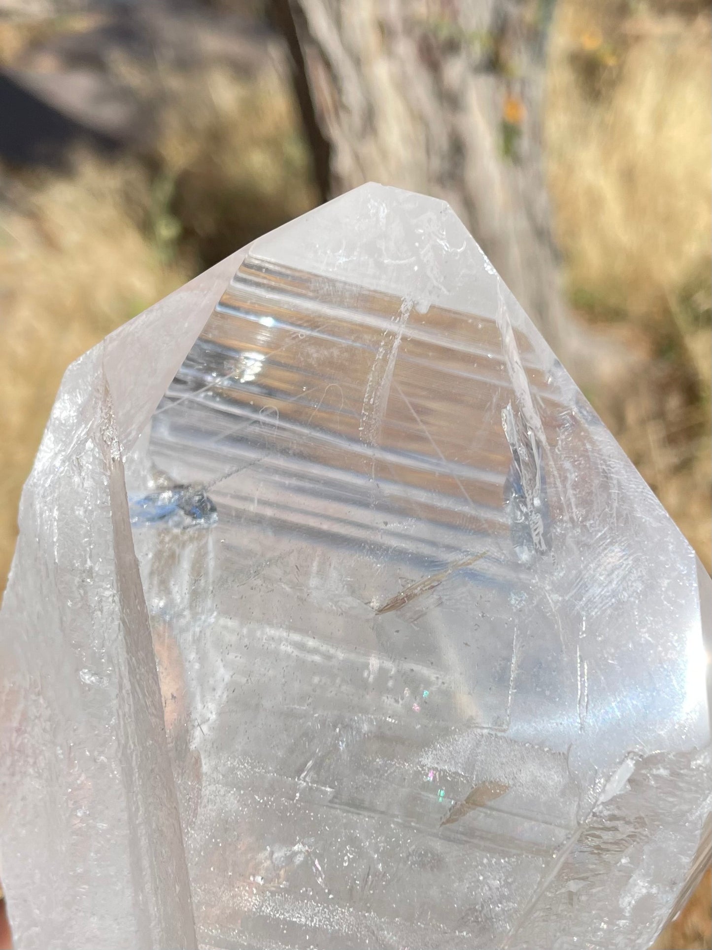 Lemurian / Phantom Quartz Point