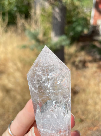 Clear Quartz Vogel (12 lados )