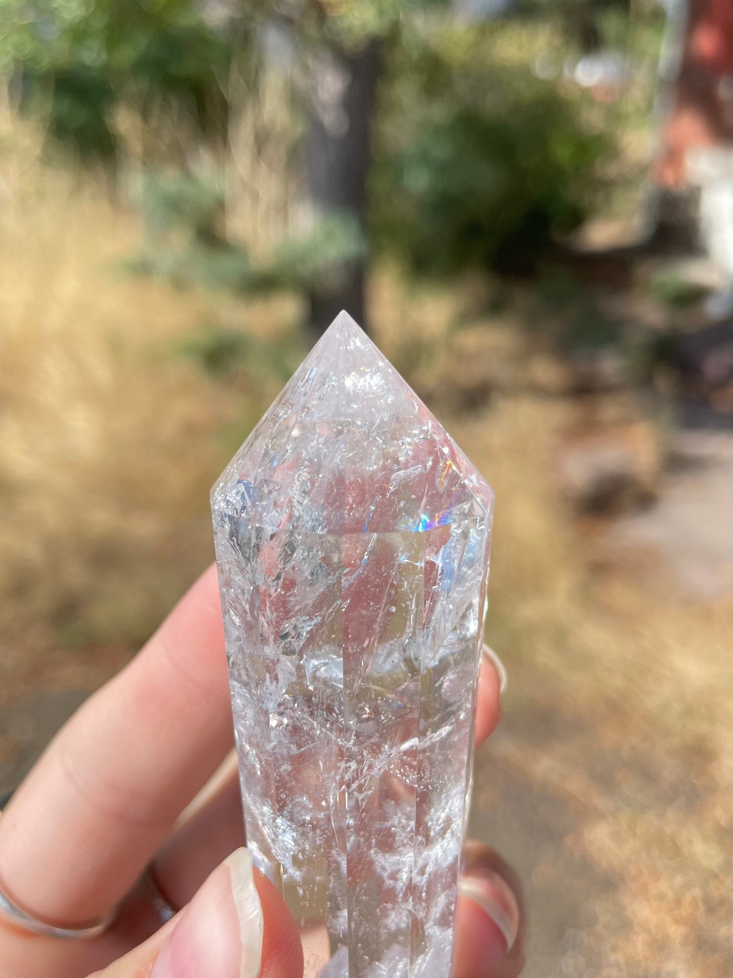 Clear Quartz Vogel (12 lados )