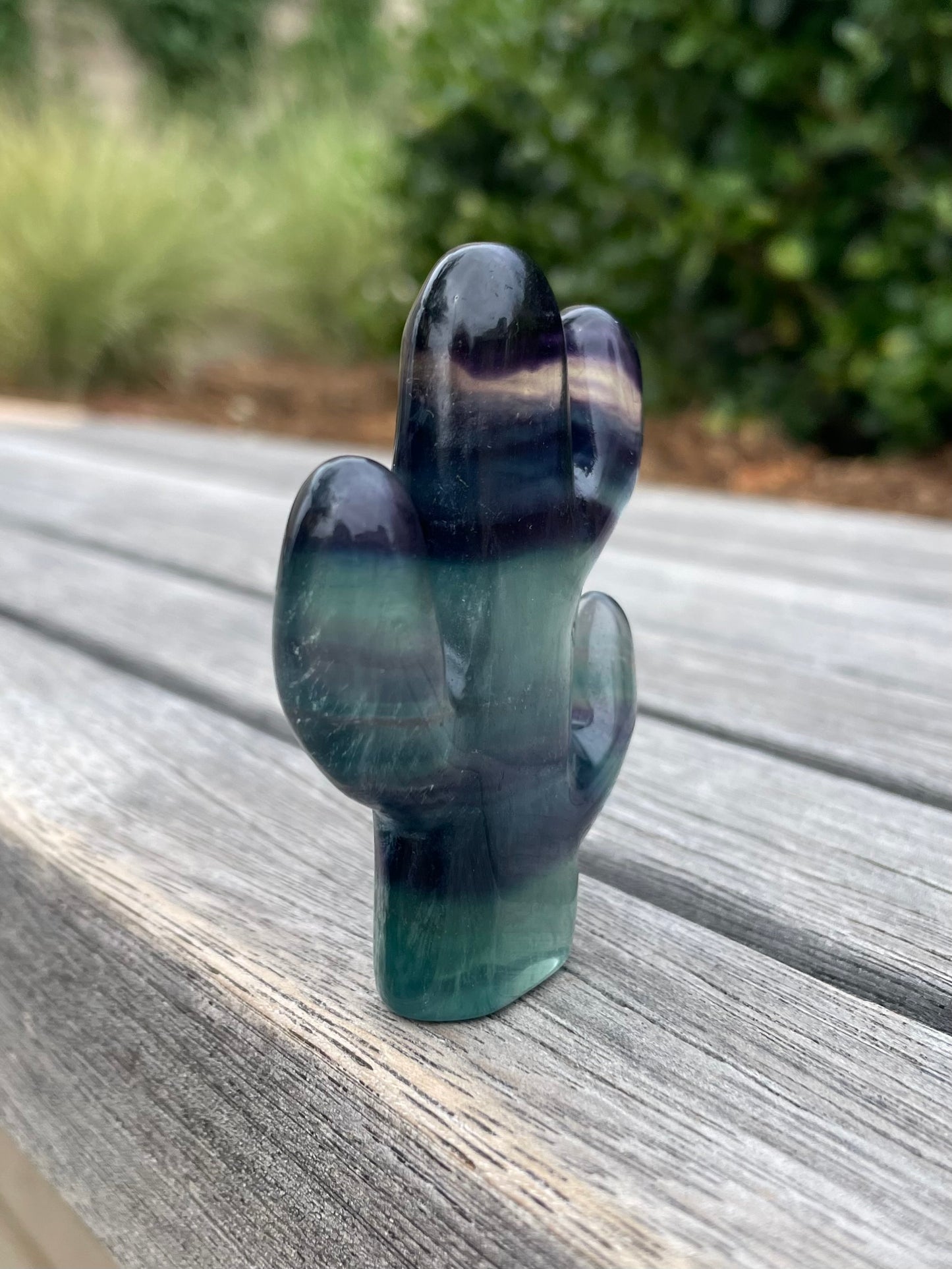 Fluorite Cactus