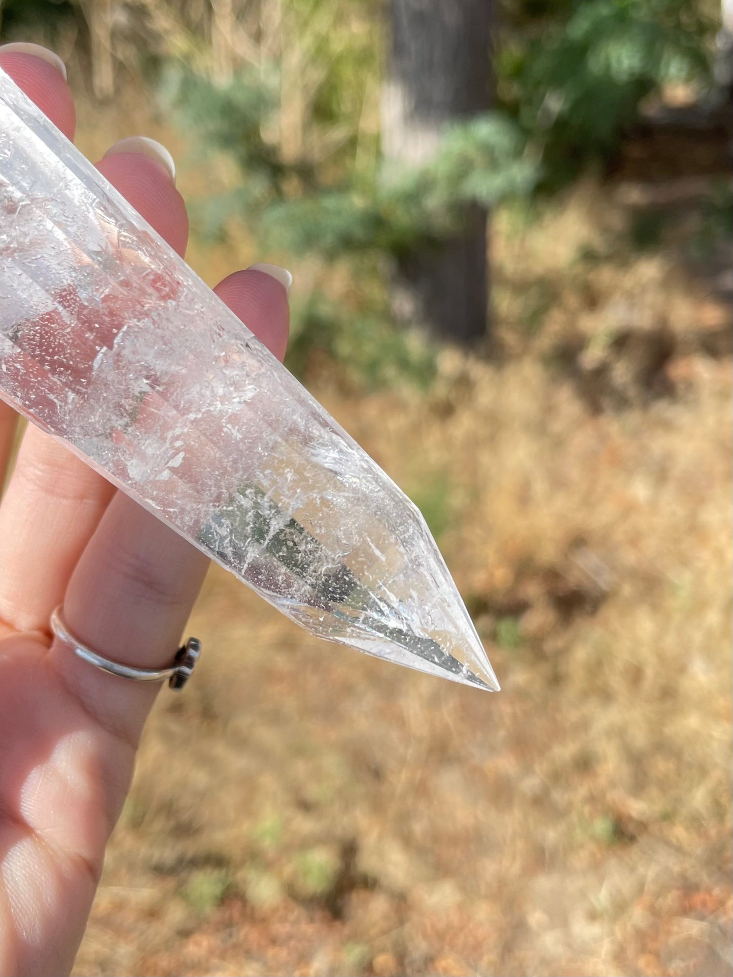 Clear Quartz Vogel (12 lados )