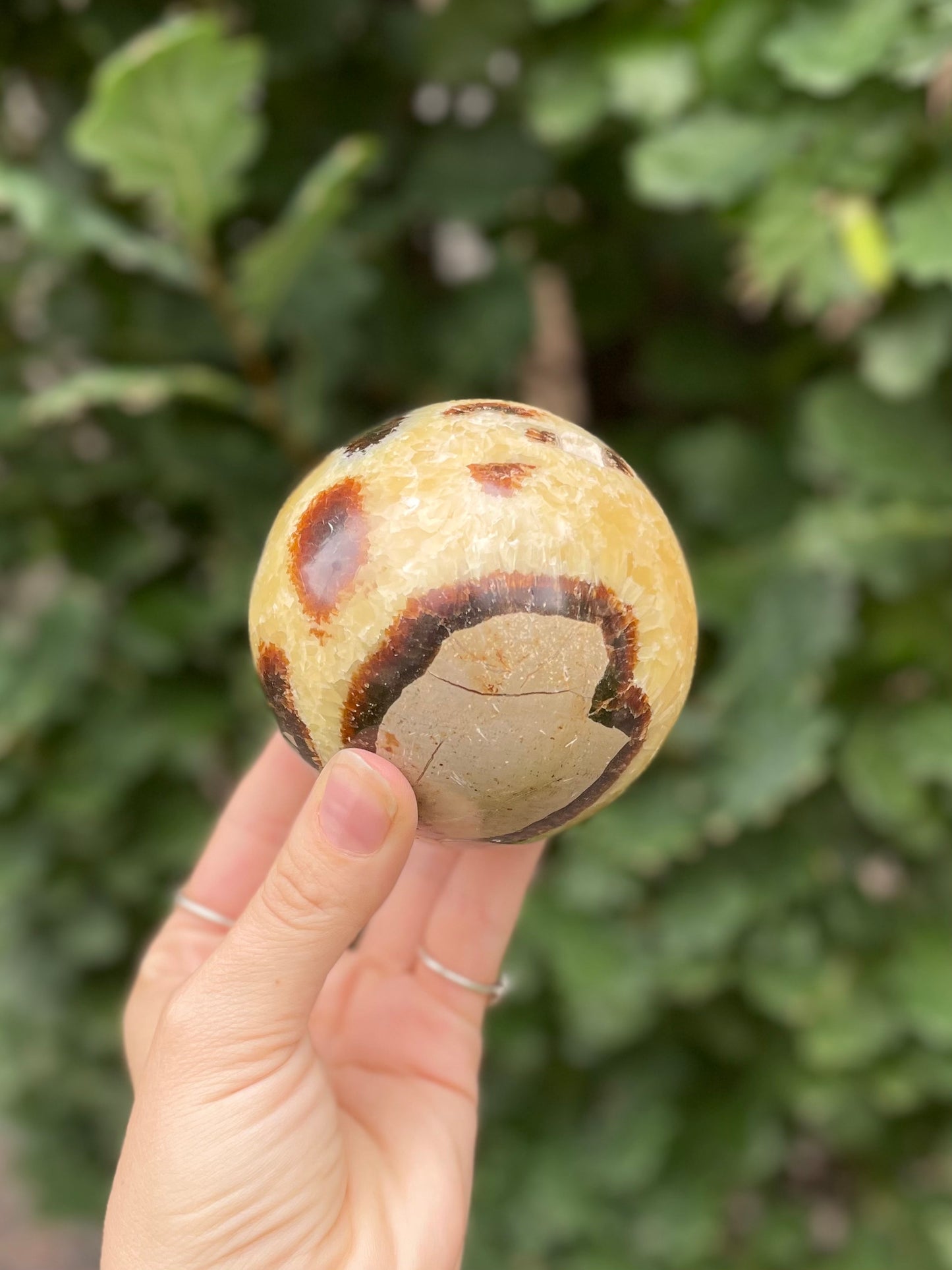 Septarian Sphere