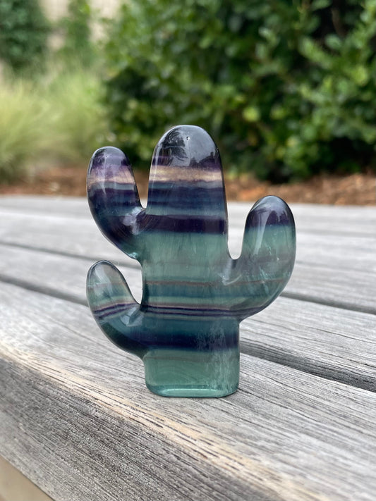 Fluorite Cactus