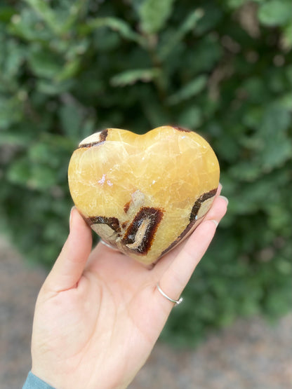 Septarian Heart (B)