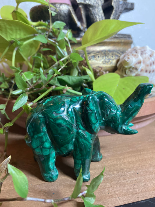 Malachite Elephant