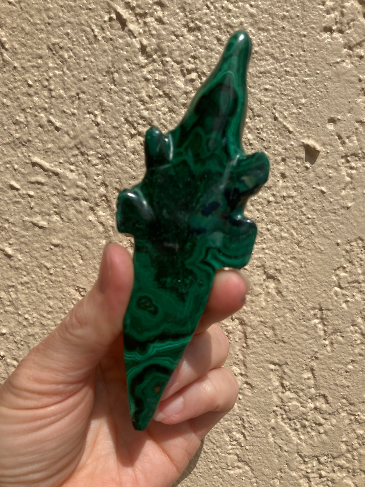 Malachite Alligator