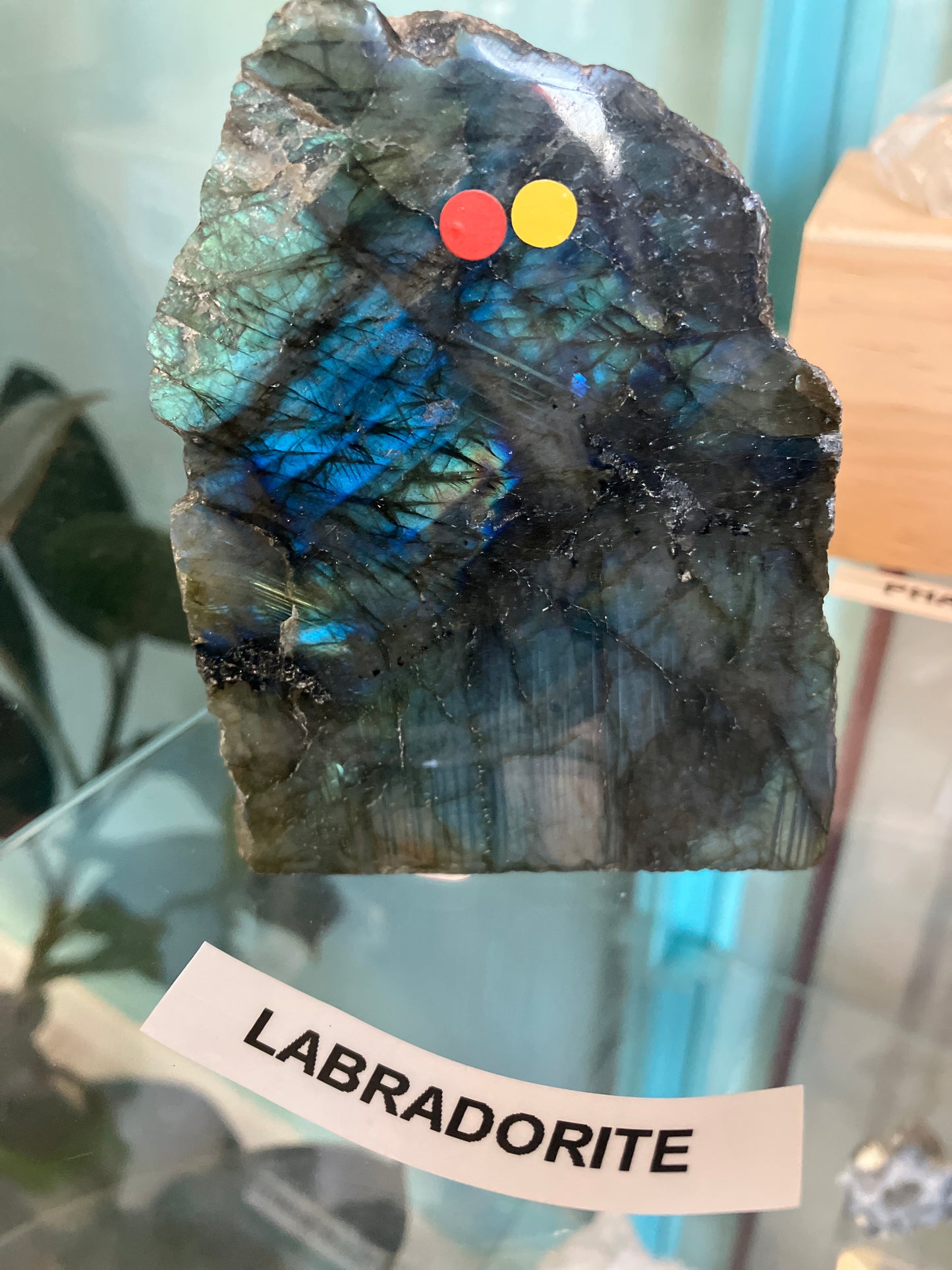 Labradorite Freeform