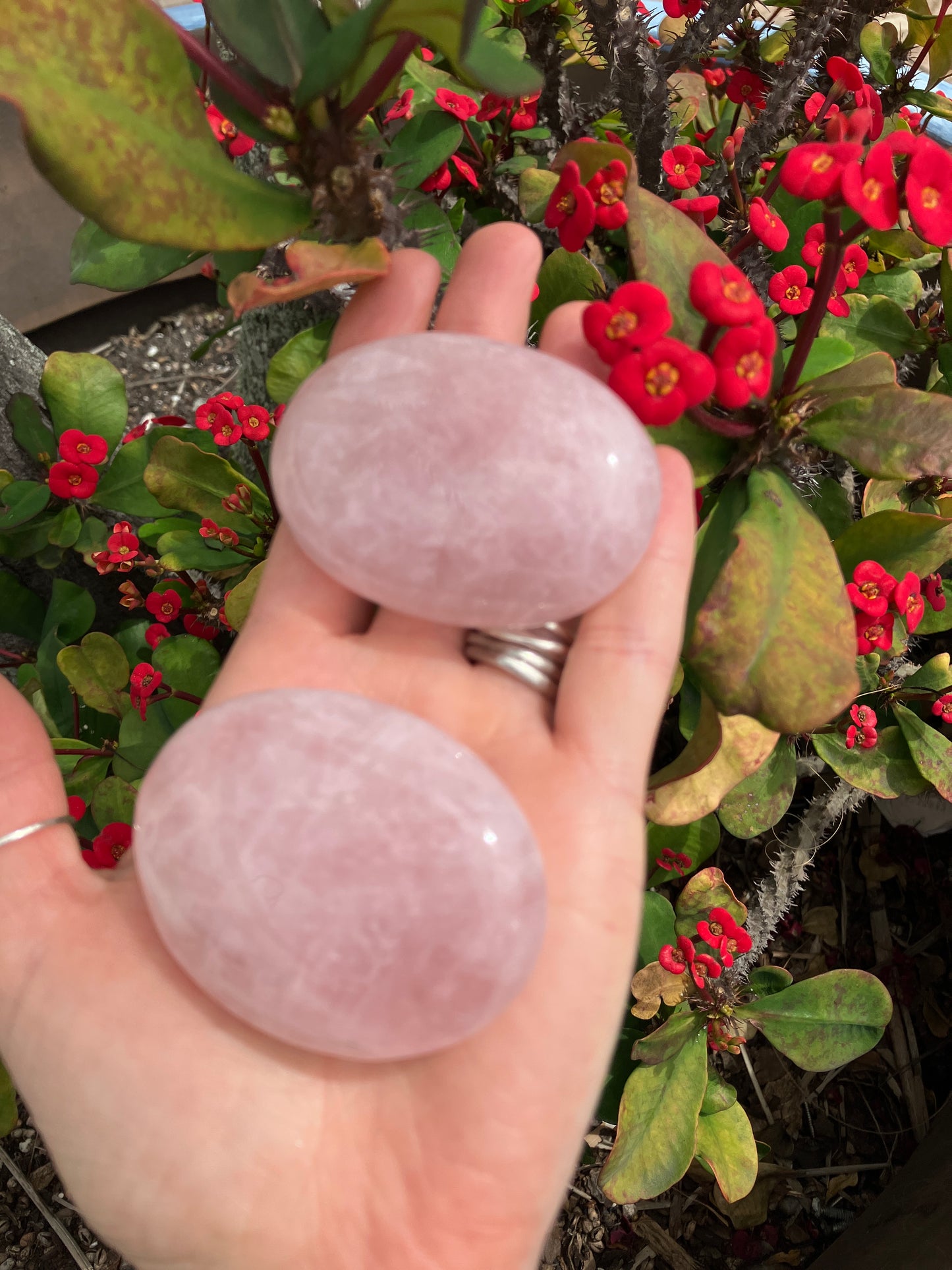 Rose Quartz Palmstone