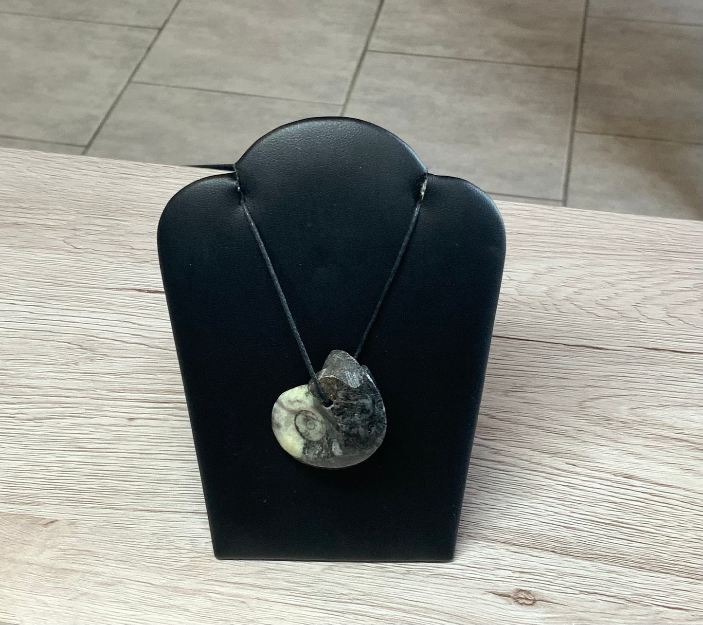 Goniatite Ammonite Fossil pendant