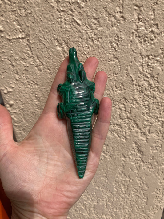 Malachite Alligator